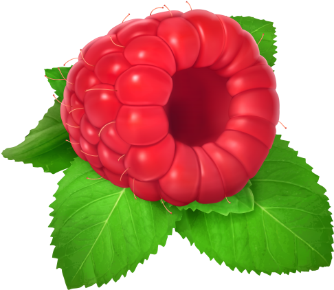 Clip Art - Clip Art (500x440)