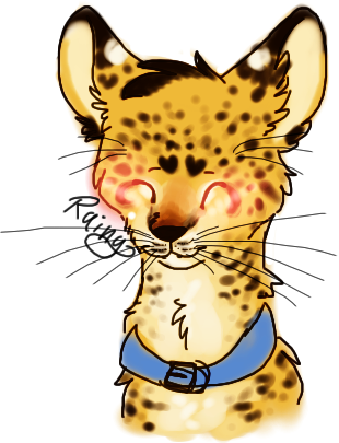 Current Schedule - Clouded Leopard (310x405)