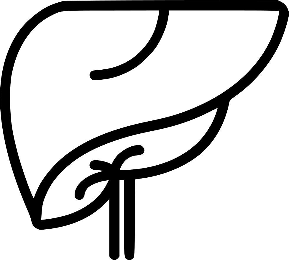 Liver Comments - Medicine (980x881)