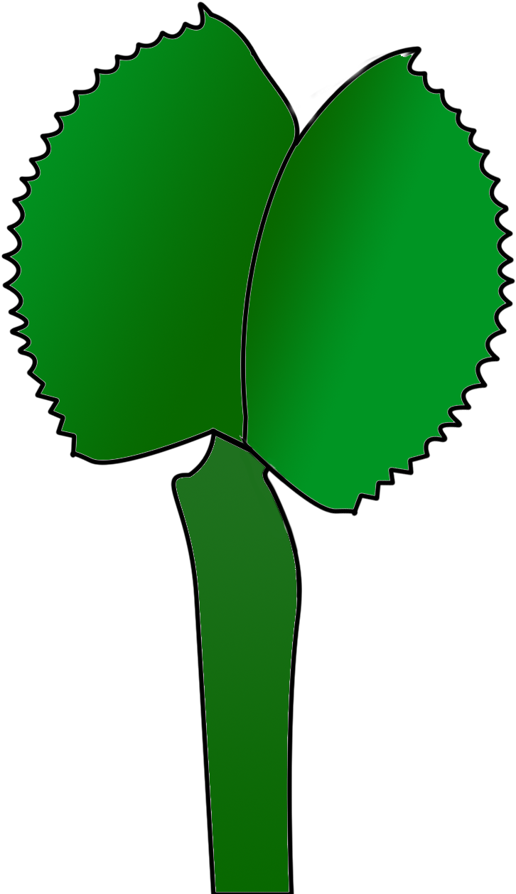 These Are My Three Drawings Of A Plant - Sram Powerglide 110 Bcd (1157x1374)