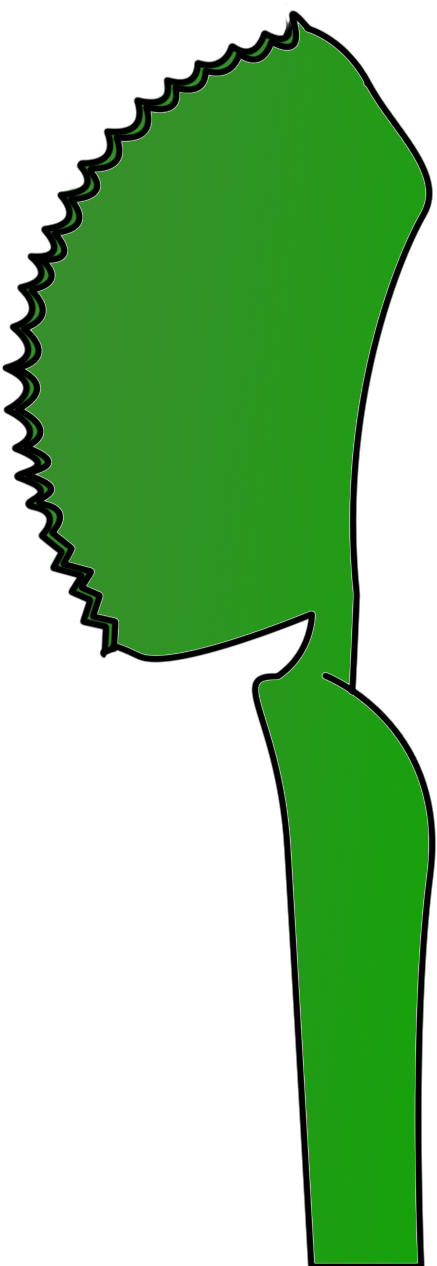 These Are My Three Drawings Of A Plant - Medidor De Potencia Para Ciclismo (732x1374)