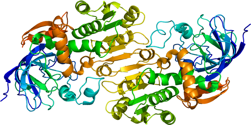 Alcohol Dehydrogenase (929x487)