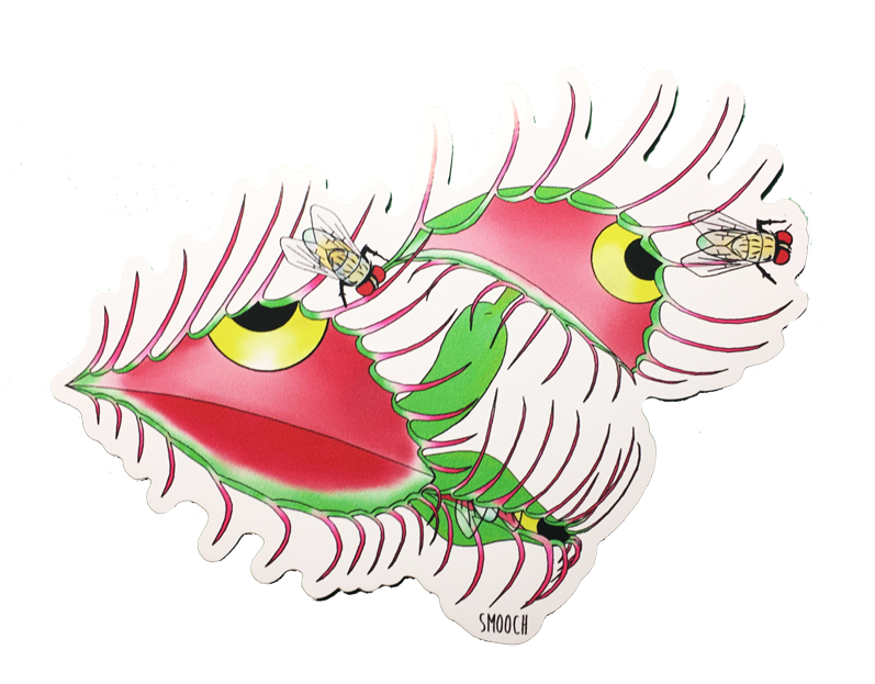 Venus Fleye Trap Sticker - Venus Fleye Trap (800x813)