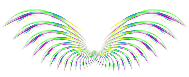 Wing Feather Icon - Wing Feather Icon (650x487)