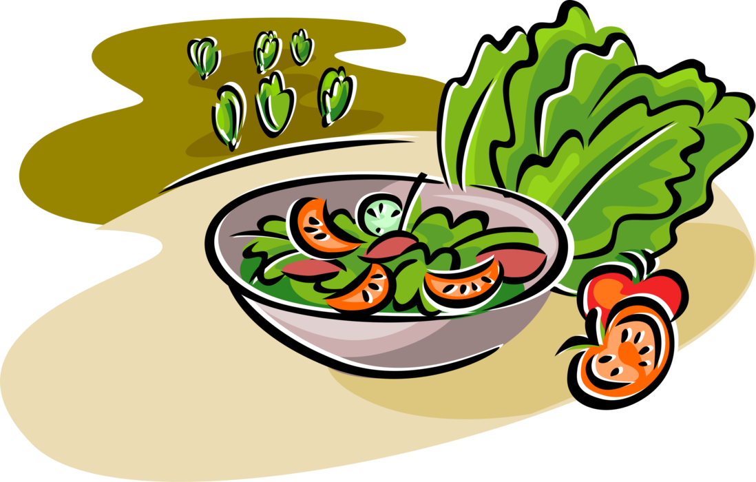 Vector Illustration Of Fresh Green Salad With Romaine - Salad In A Bowl Clip Art (1098x700)