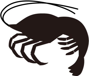For Download Free Image - Shrimp (648x540)