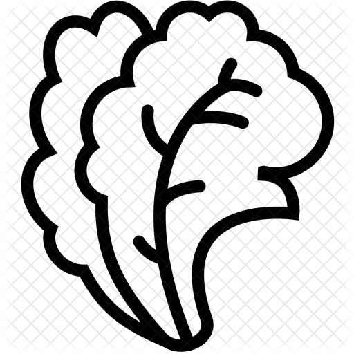 Salad Icon - Salad Icon Free (512x512)