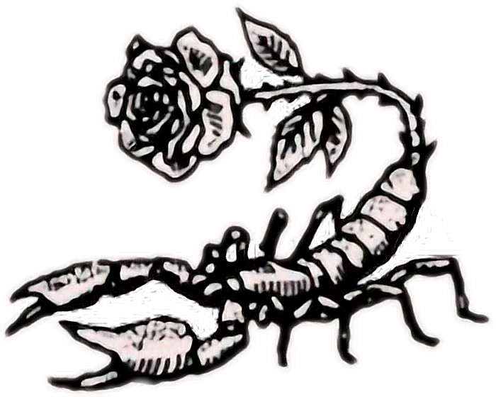Tumblr Rose Rock Scorpion Aesthetic Retro Flower Art - Scorpion Rose Drawing (700x560)