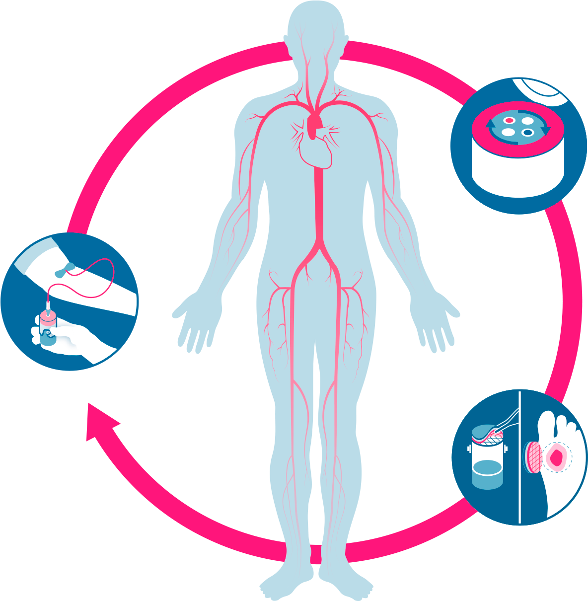 Treatment Evidence Technology - Wound Healing (1200x1209)