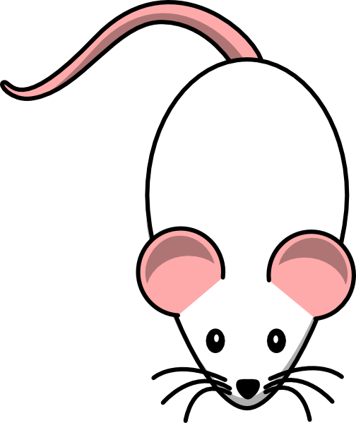 White With Pink Ears Clip Art - Rat Clipart Png (504x599)