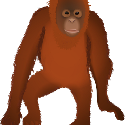 Osmawani Orangutan - Orangutan (400x400)