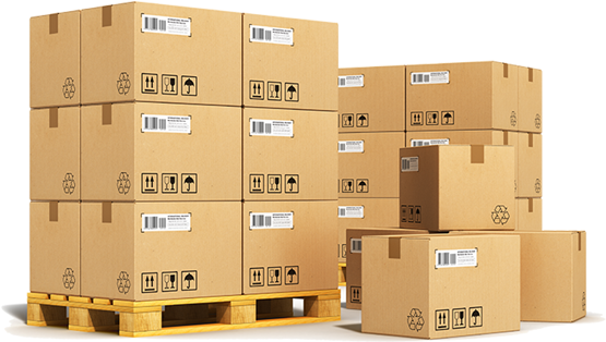 We Have Well Maintained, Organised, And Equipped Warehouses - Amazon Fba: A Comprehensive Guide To Start Selling (606x400)