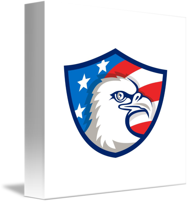 Bald Eagle (606x650)