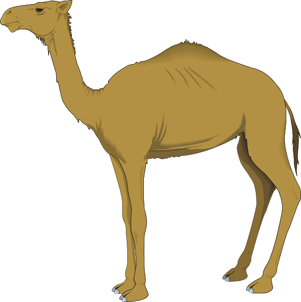 You Can Use These Free Camel Cliparts For Your Documents, - Camel Clip Art (594x596)