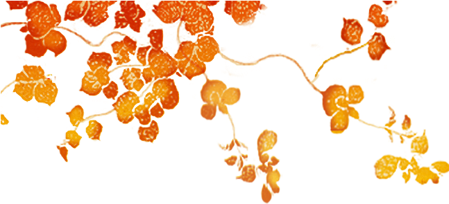 Search - Magyar Agár (688x300)