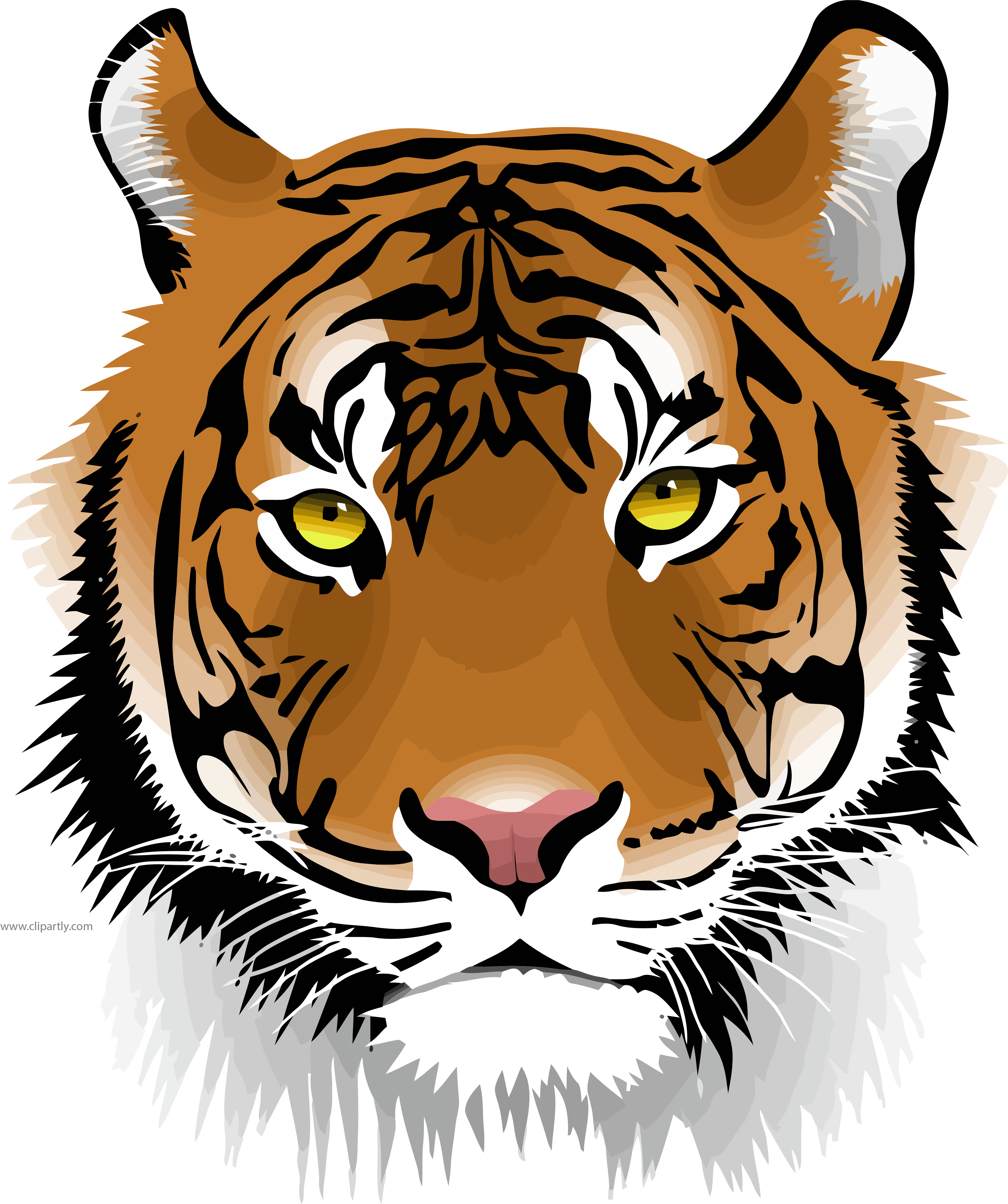 Картинки вектор. Голова тигра. Лицо тигра. Тигр на прозрачном фоне. Тигр рисунок.