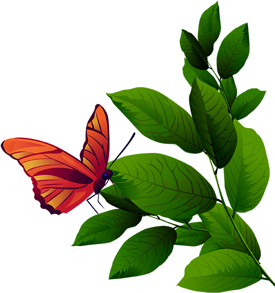 Tubes Arbres / Arbustes / Feuillages - Tree (555x581)