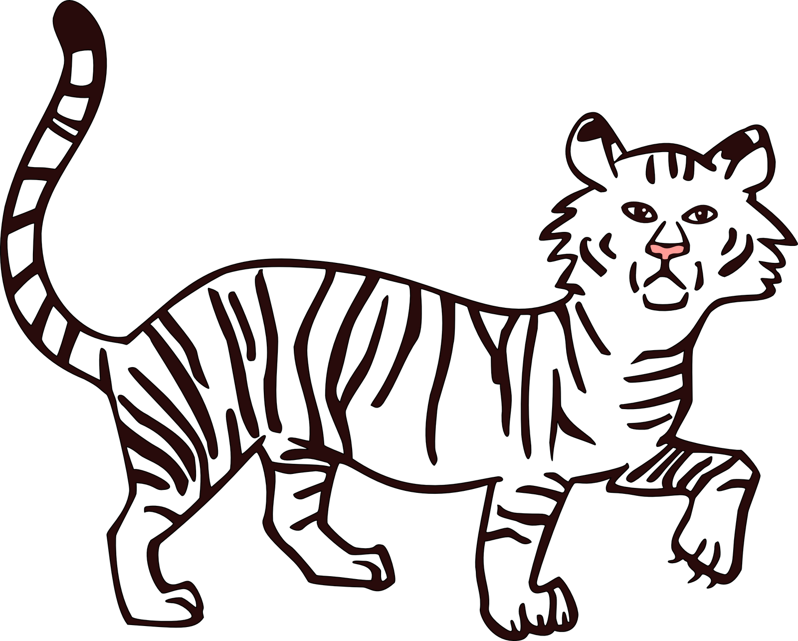 Tiger Outline Drawing At Getdrawings Com Free For Personal - Fill Color In Drawing...