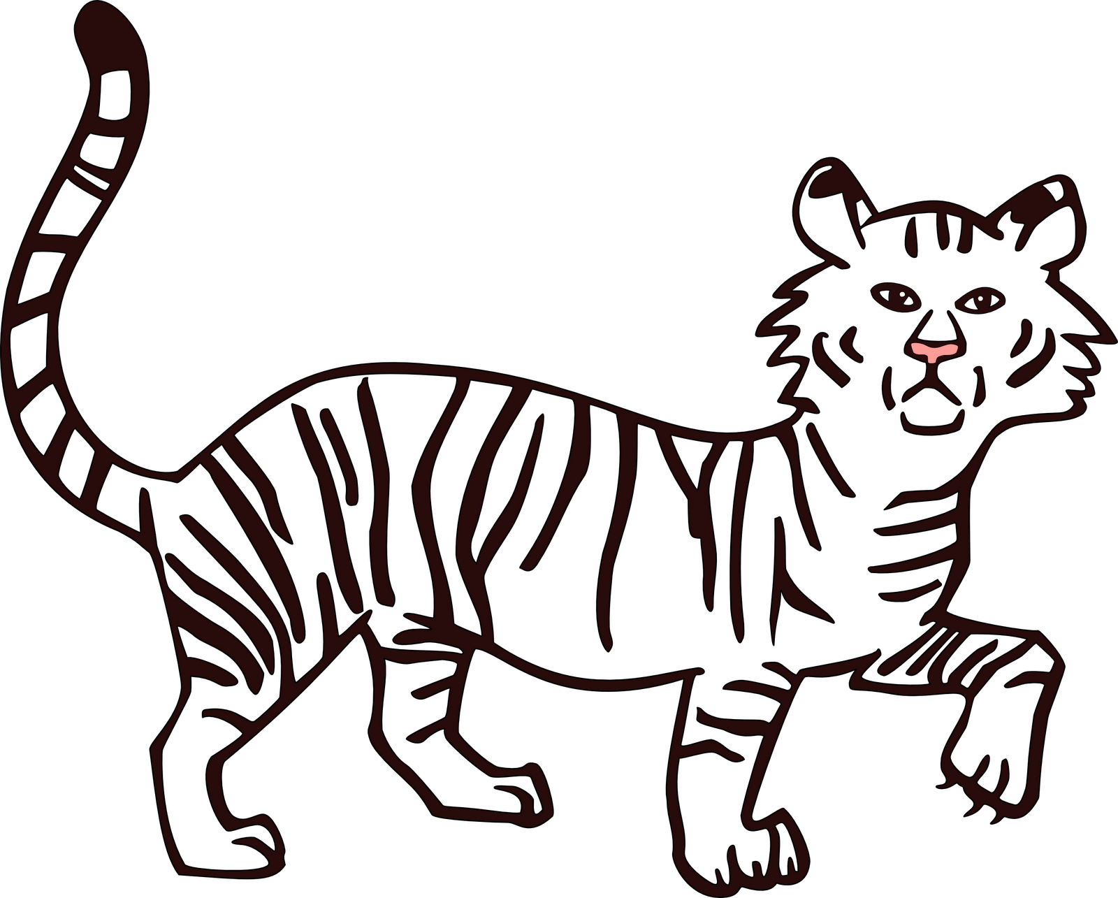 Tiger Outline Drawing At Getdrawings Com Free For Personal - Fill Color In Drawing (1600x1285)