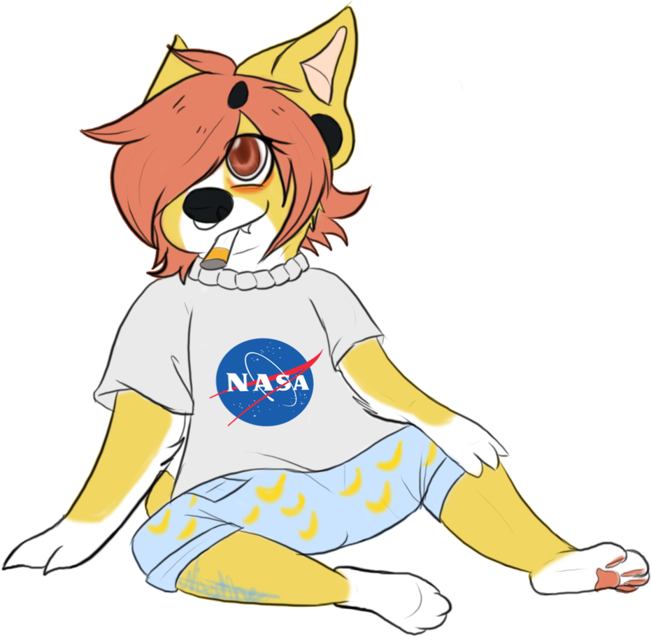 Bruises And Bite Marks Say - Nasa Logo Space Tote Bag (1024x924)