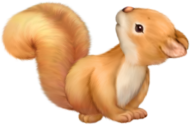 Squirrel Clip Art Clipart Clipartcow - Free Clip Art Squirrel (800x480)