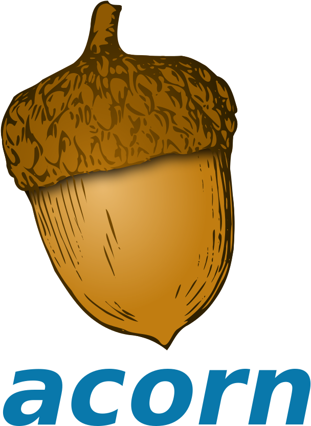 Acorn Clip Art 12, - Clip Art (1000x1000)
