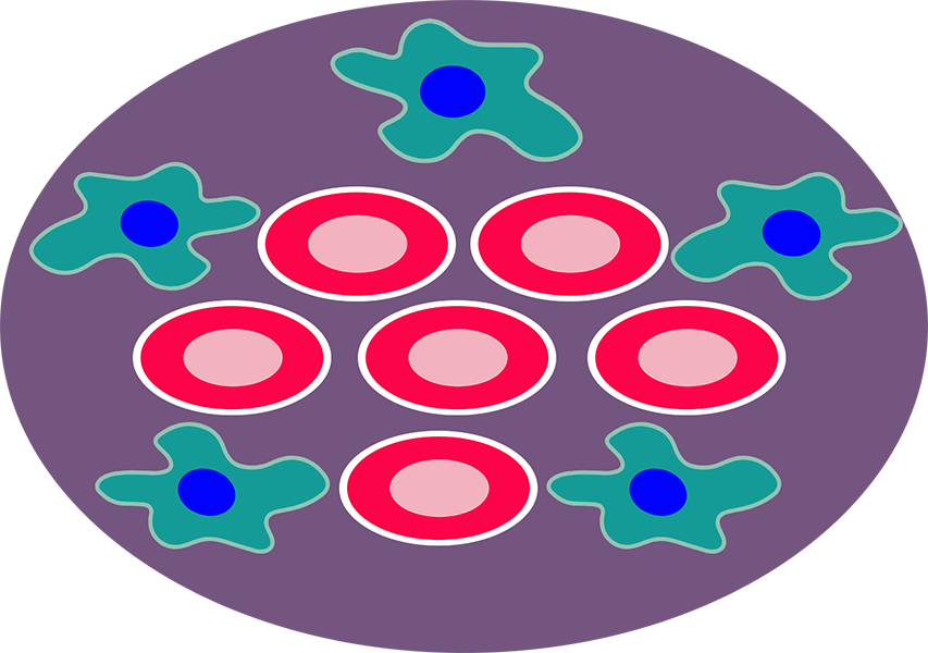 Boron-10 Accumulates In The Subject's Tumor Cells Continue - Circle (853x600)