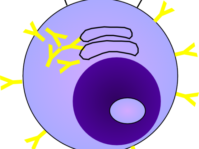 Plasma Clipart Cartoon - Cartoon (640x480)