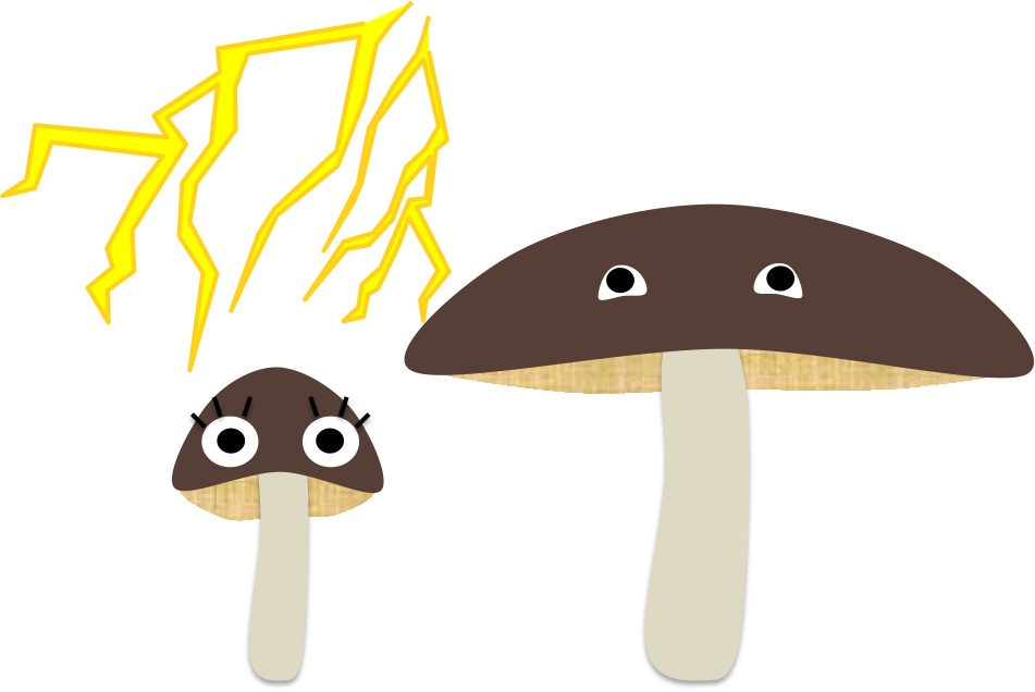 雷キノコ 2 - Mushroom (951x636)