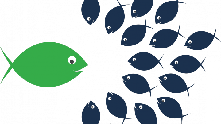 Identifying And Developing First-time People Leaders - Clip Art (720x404)