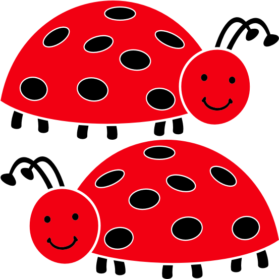 Two Ladybugs - Ladybird Beetle (566x566)