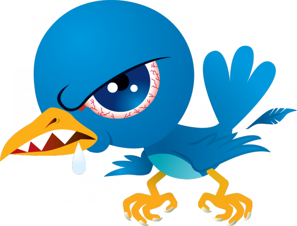 The Best Columnist In The Country, Rachel Stewart Has - Twitter Enojado (600x457)