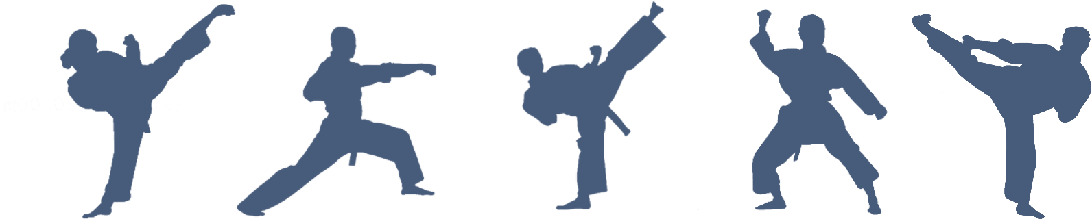 Our Committee 2018/19 - Wallhogs Martial Arts Kicking Ii Silhouette Cutout (1660x380)