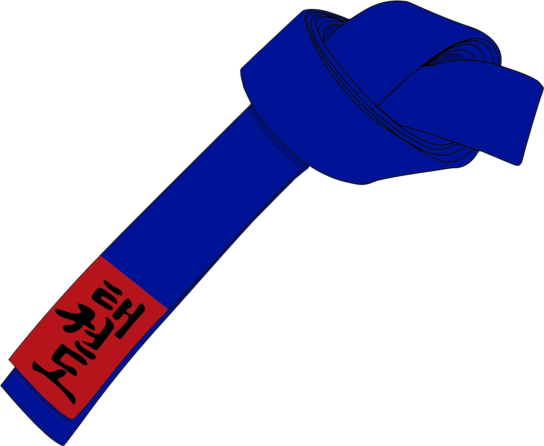 Open - Blue Belt Hapkido (2000x1701)