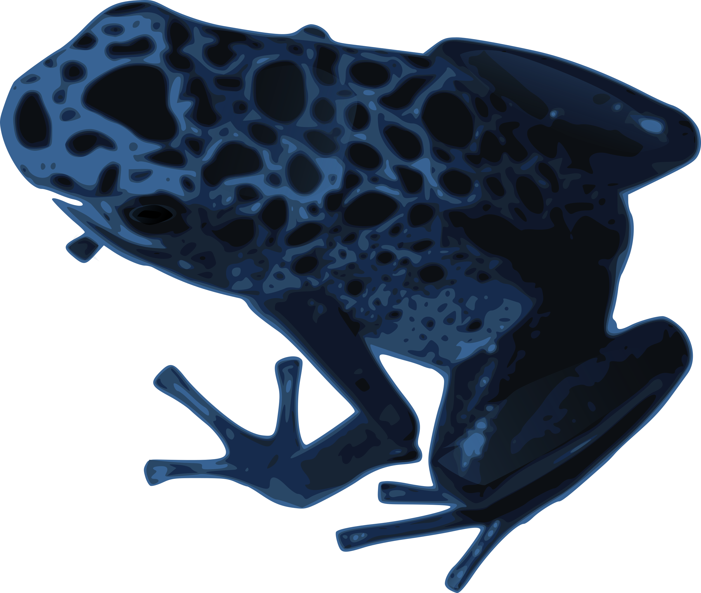 Amphibian Clip Art Download - Blue Poison Dart Frog (2400x2030)