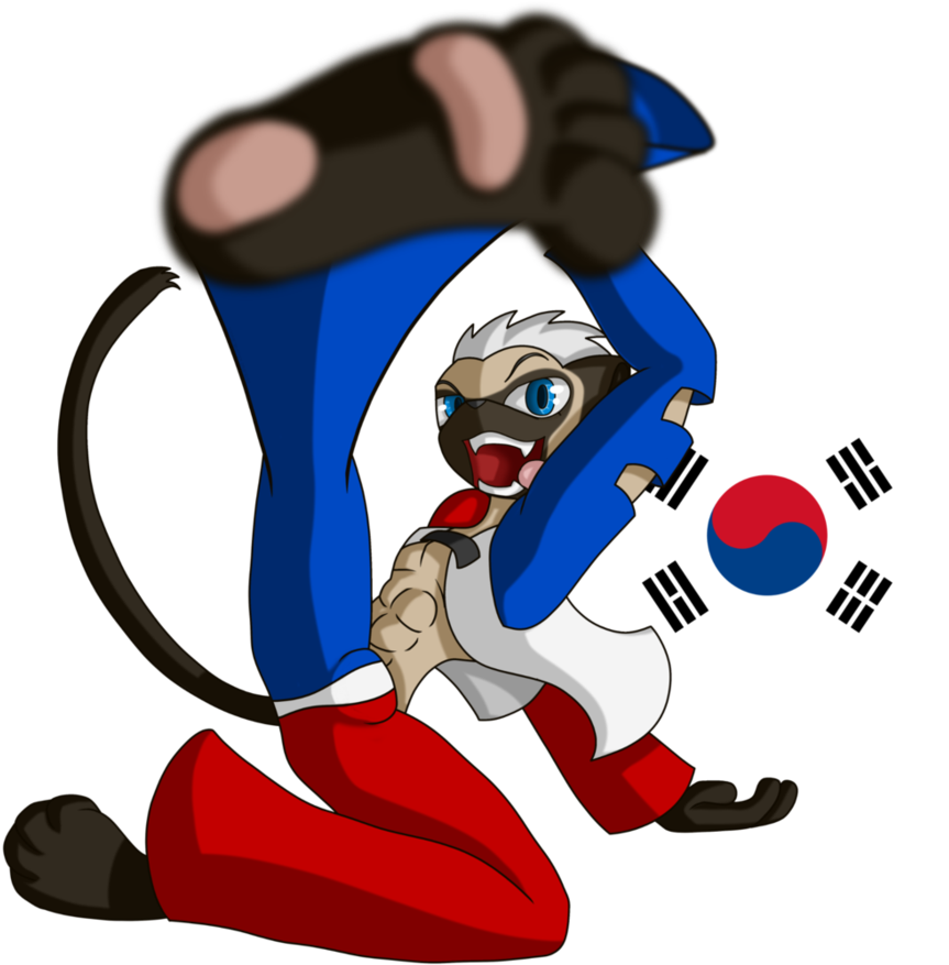 Taekwondo By Brother-orin - Korean Flag Bowling Ball (900x887)