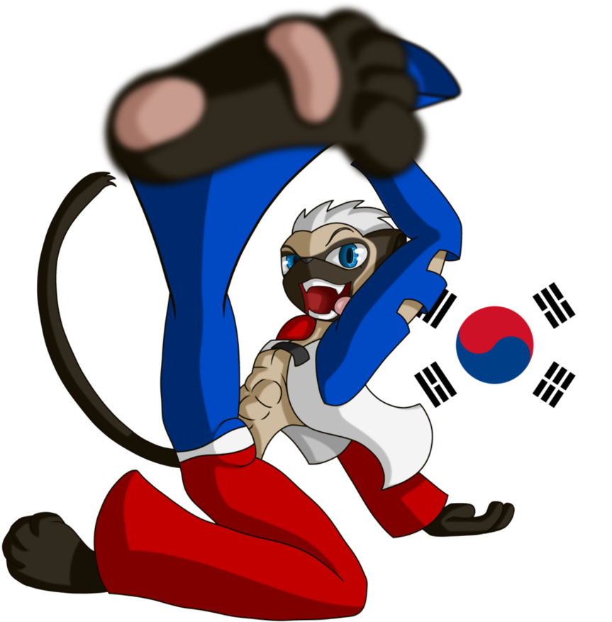 Taekwondo мульт
