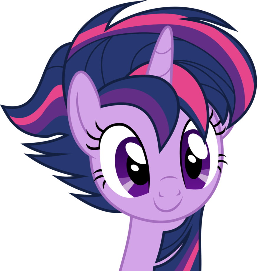 My Little Pony - Twilight Sparkle New Mane (872x917)