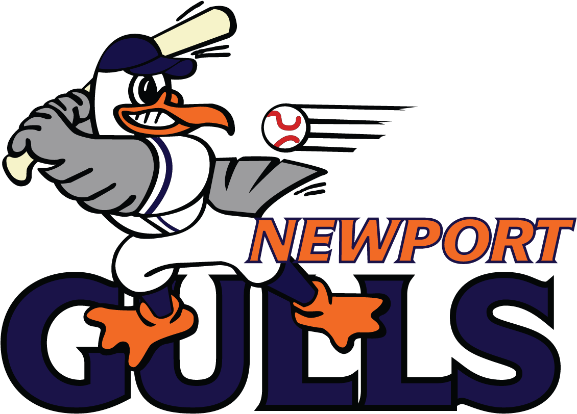 It Might Be Snowing, But The Newport Gulls Are Dreaming - Newport Gulls (1296x864)