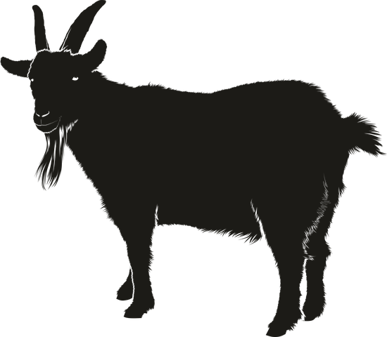 Goat Black Animal Silhouette Shadow Goat G - Goat Silhouette (550x480)