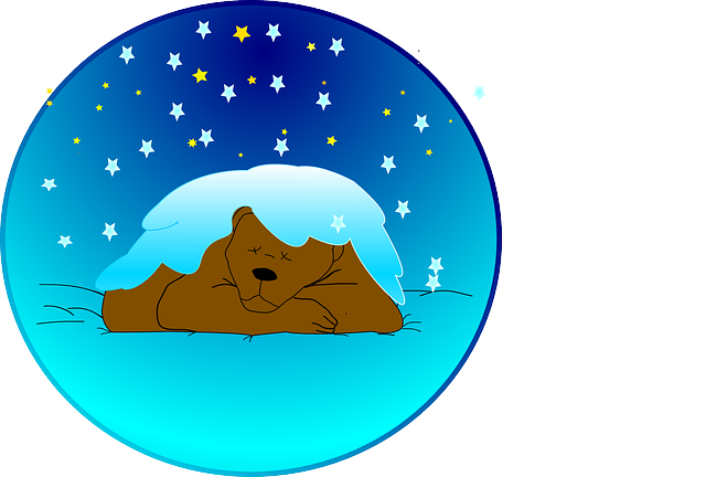 Brown Bear Sleeping In Winter Vector Drawing - Sleeping Bear Clip Art (640x432)
