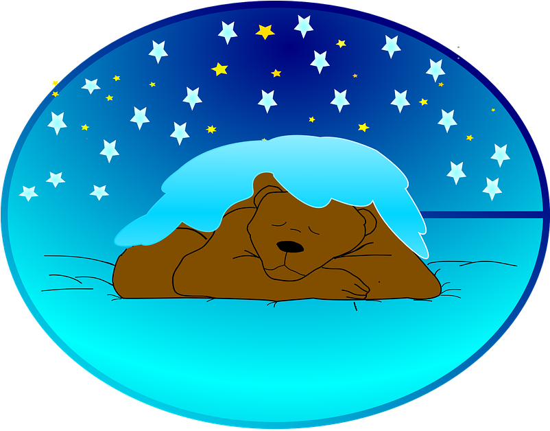 Why Do We Sleep - Winterschlaf Clipart (740x664)