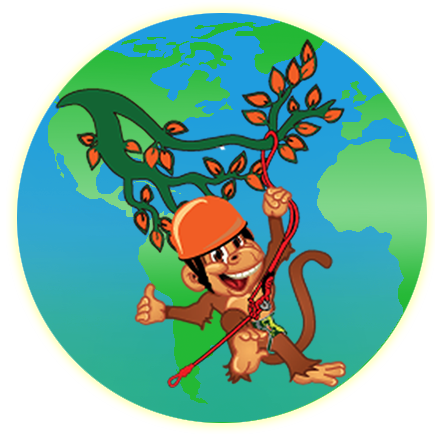 Sun Bear Clipart Borneo - Sun Bear (435x435)