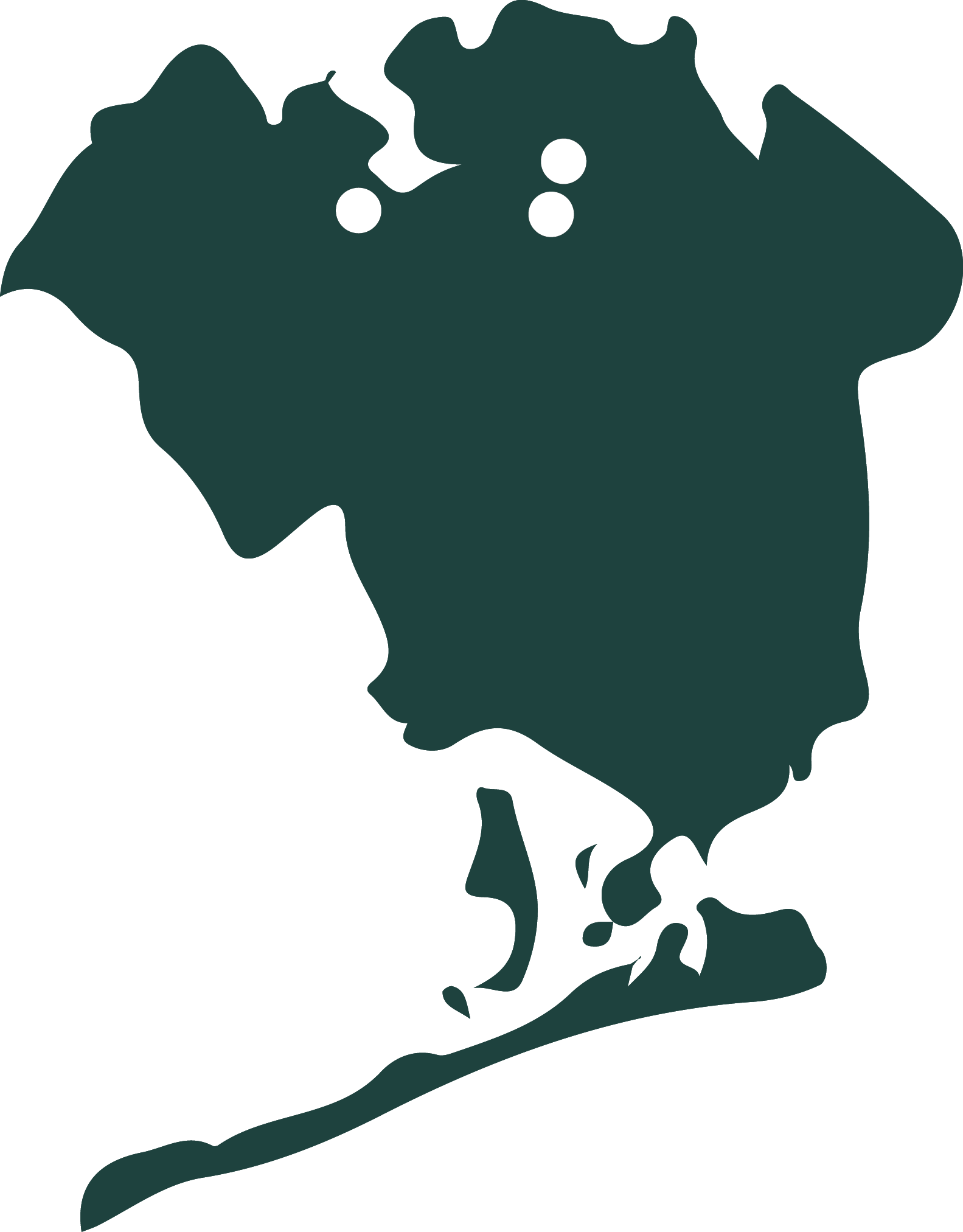 New York Mayoral Election 2017 (1583x2025)