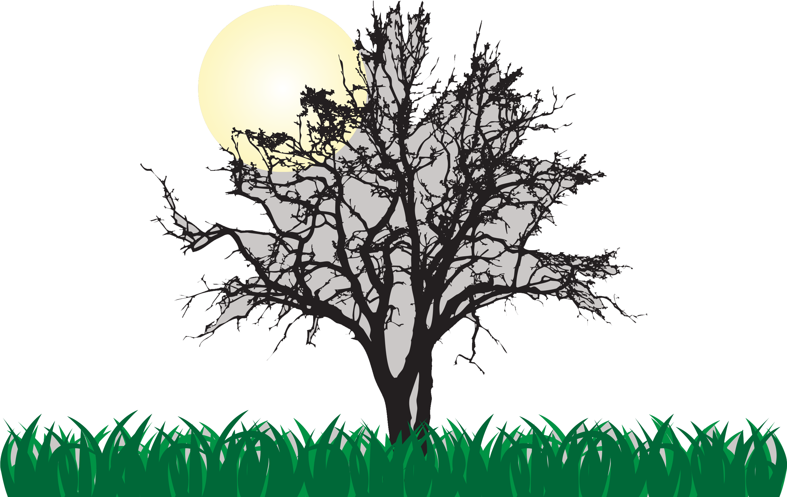 Tree Euclidean Vector Illustration - Tree Euclidean Vector Illustration (2743x2056)