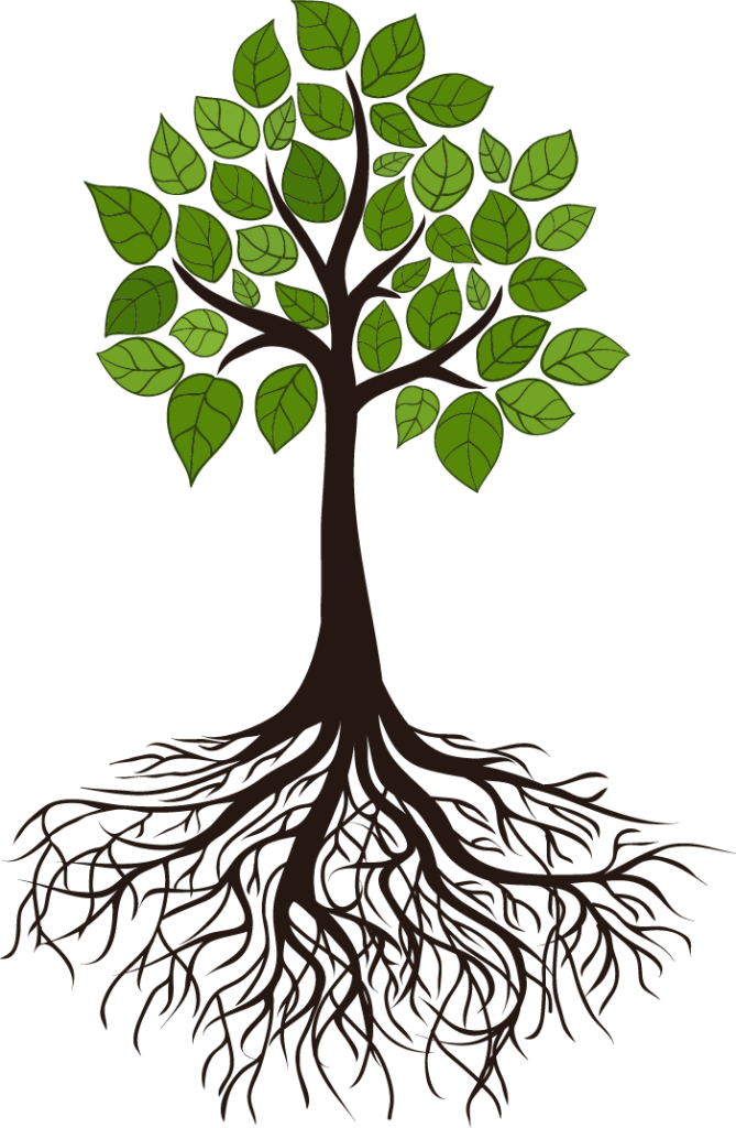 Tree Root Branch Clip Art - Transparent Tree Of Life Roots (669x1024)