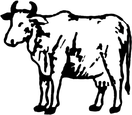 276 × 240 Pixels - Rastriya Prajatantra Party Nepal (552x480)