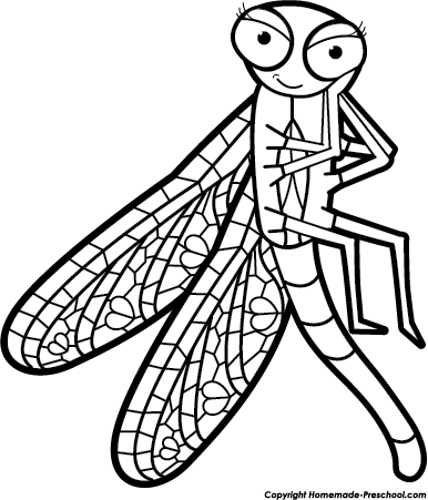 Click To Save Image - Net-winged Insects (386x451)