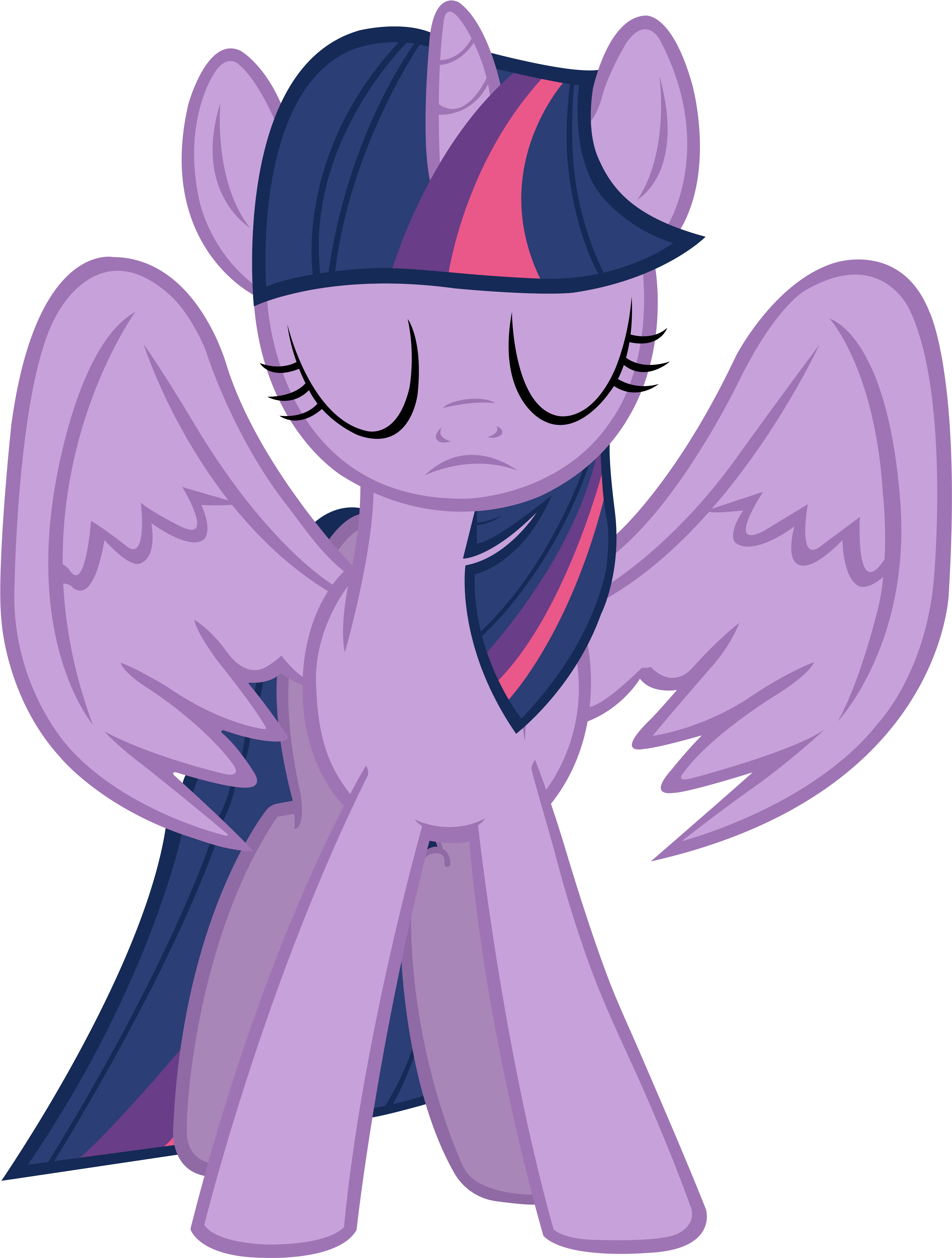 My Little Pony Friendship Is Magic Twilight Sparkle - Mlp Twilight Sparkle Alicorn (5000x6429)