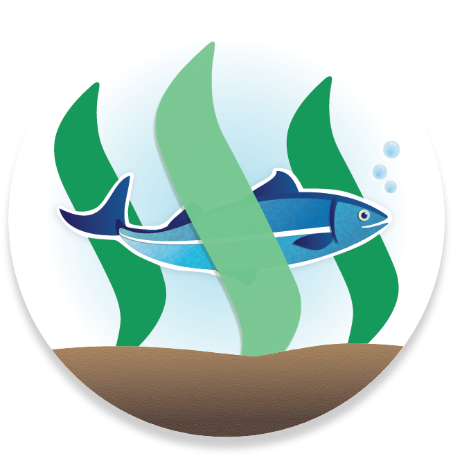 A Continuación Van A Conocer Los Mejores Bots De Votos - Steemit (664x689)